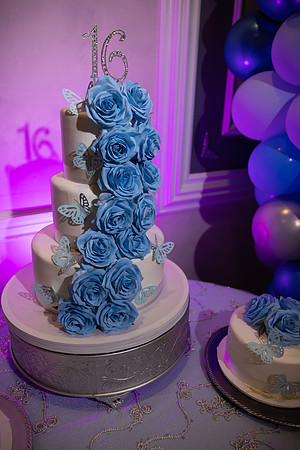 JOYAndLOVEphotography-391