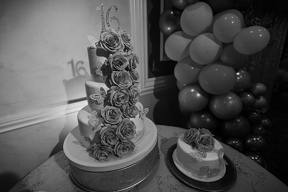 JOYAndLOVEphotography-396