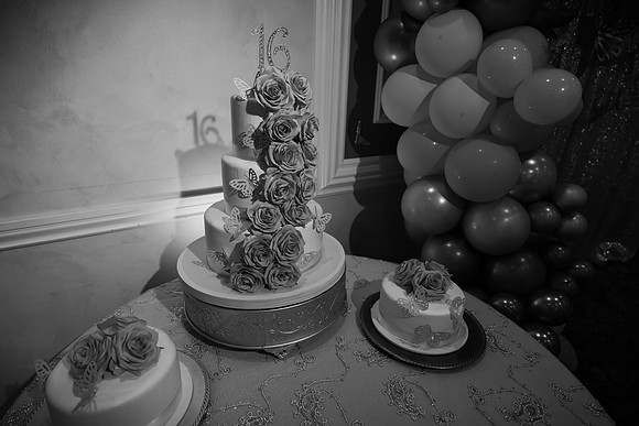 JOYAndLOVEphotography-390