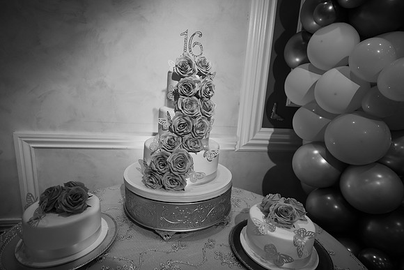 JOYAndLOVEphotography-385
