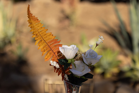 BT7A0272