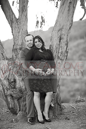 JOYAndLOVEphotography-116
