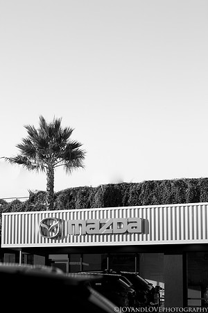 Joya And Love Photography-15