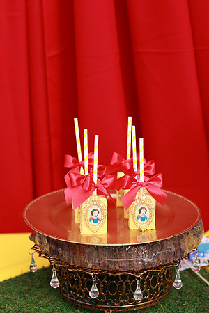 JoyandLovePhotography-28