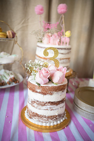 JOYAndLOVEphotography-9255