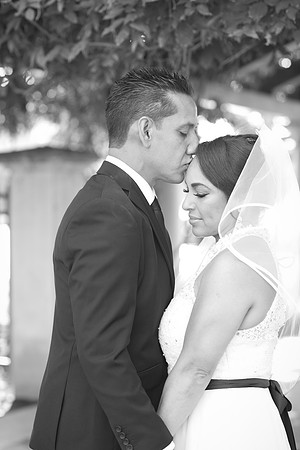 JoyandLovePhotography-338