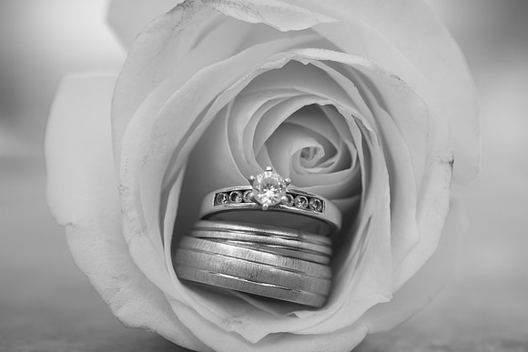 JoyandLovePhotography-404