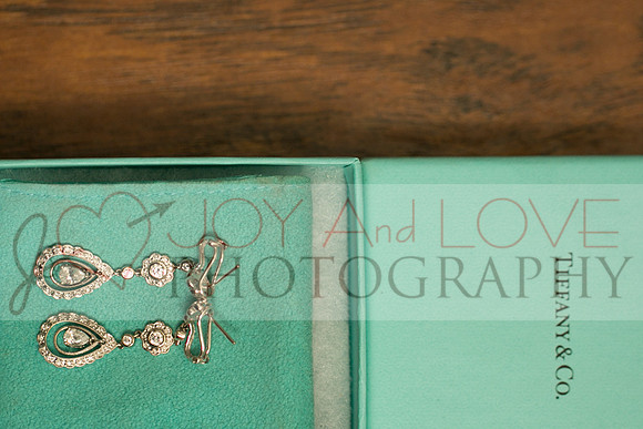 JOYAndLOVEphotography-20