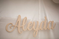 JOYAndLOVEphotography-6