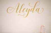 JOYAndLOVEphotography-9