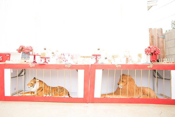 JOYAndLOVEphotography-23