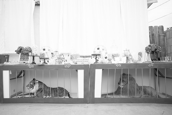 JOYAndLOVEphotography-24