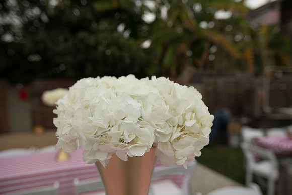 JOYAndLOVEphotography-72
