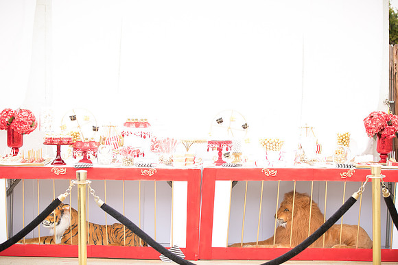 JOYAndLOVEphotography-120