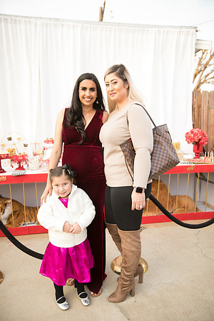 JOYAndLOVEphotography-247