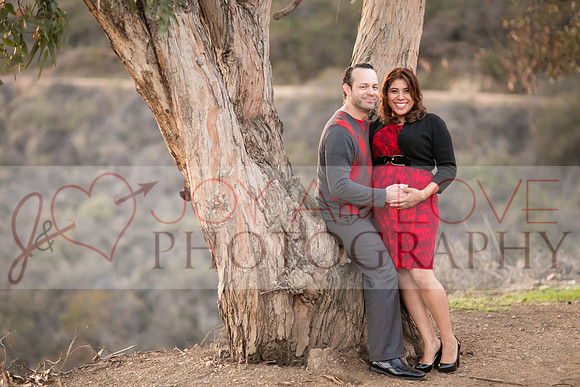 JOYAndLOVEphotography-111