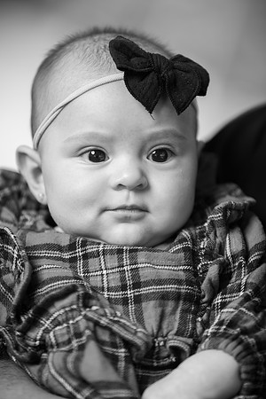 BT7A7946