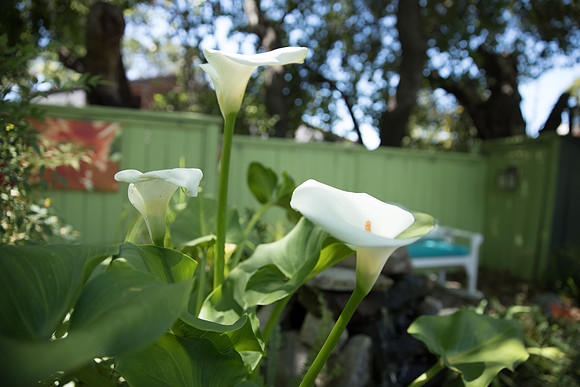 JOYAndLOVEphotography-10