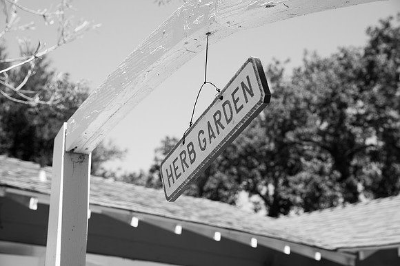 JOYAndLOVEphotography-12