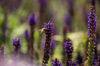 JoyandLovePhotography-368