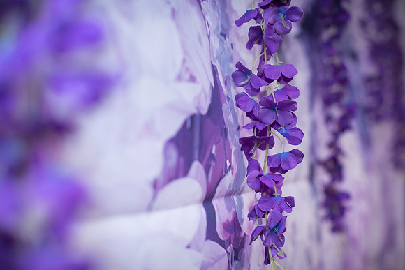 JOYAndLOVEphotography-419