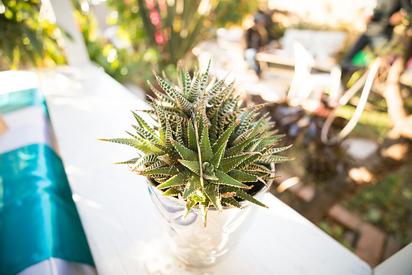 JOYAndLOVEphotography-54