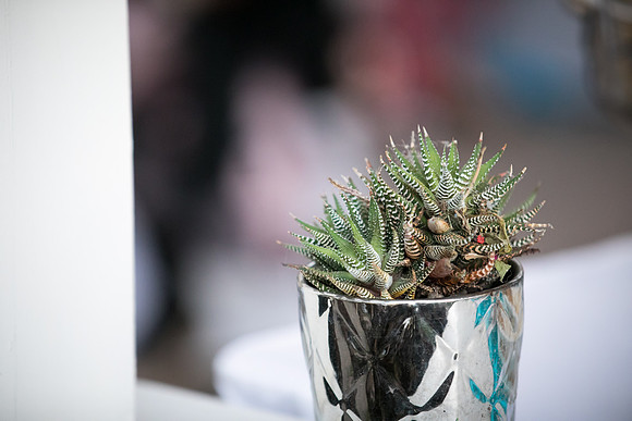 JOYAndLOVEphotography-424