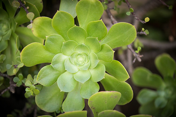 JOYAndLOVEphotography-431