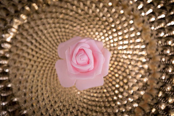 JOYAndLOVEphotography-8