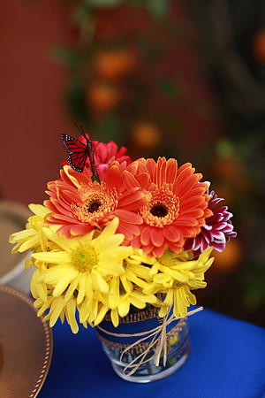 JoyandLovePhotography-43