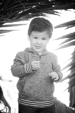 Joya And Love Photography-8