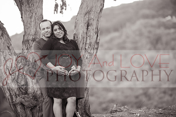 JOYAndLOVEphotography-118
