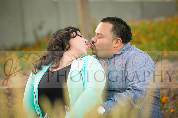 JOY and LOVE photography-0432