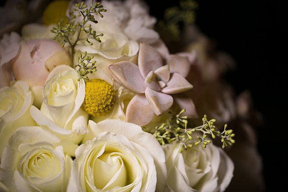 JOY and LOVE photography-6