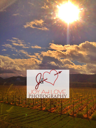 Wine train in napa valley